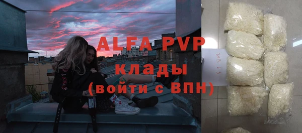 прущие грибы Кинешма