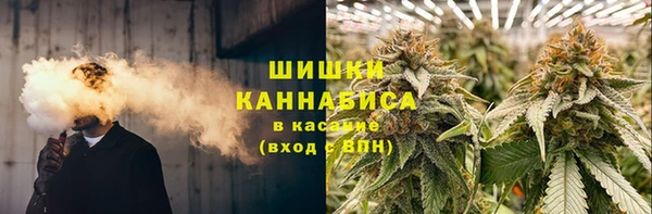 2c-b Снежногорск