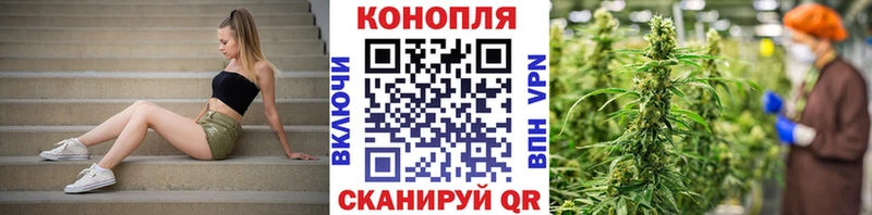 Бошки марихуана семена  дарнет шоп  ОМГ ОМГ зеркало  Красноперекопск 